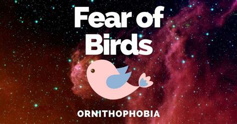 Ornithophobia? Overcome Your Fear With This Charming Pixelated Adventure!